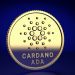 Cardano Cardano