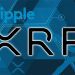 Ripple Ripple